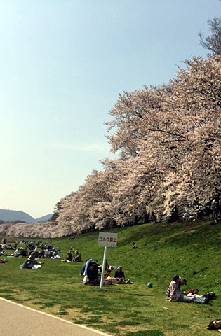 画像: ４月号は15日発行です